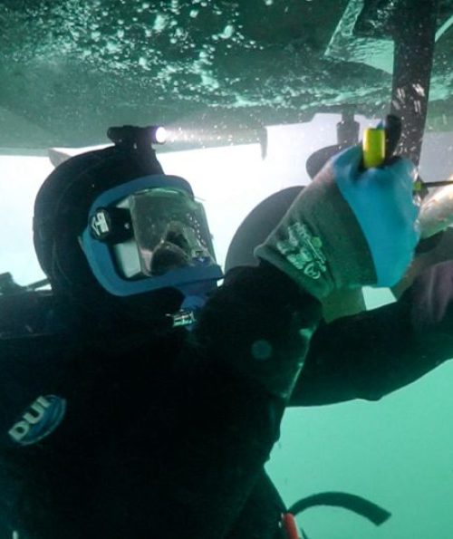 8f5faf_ed34243531c04cc8a13f78966c583c47~mv2